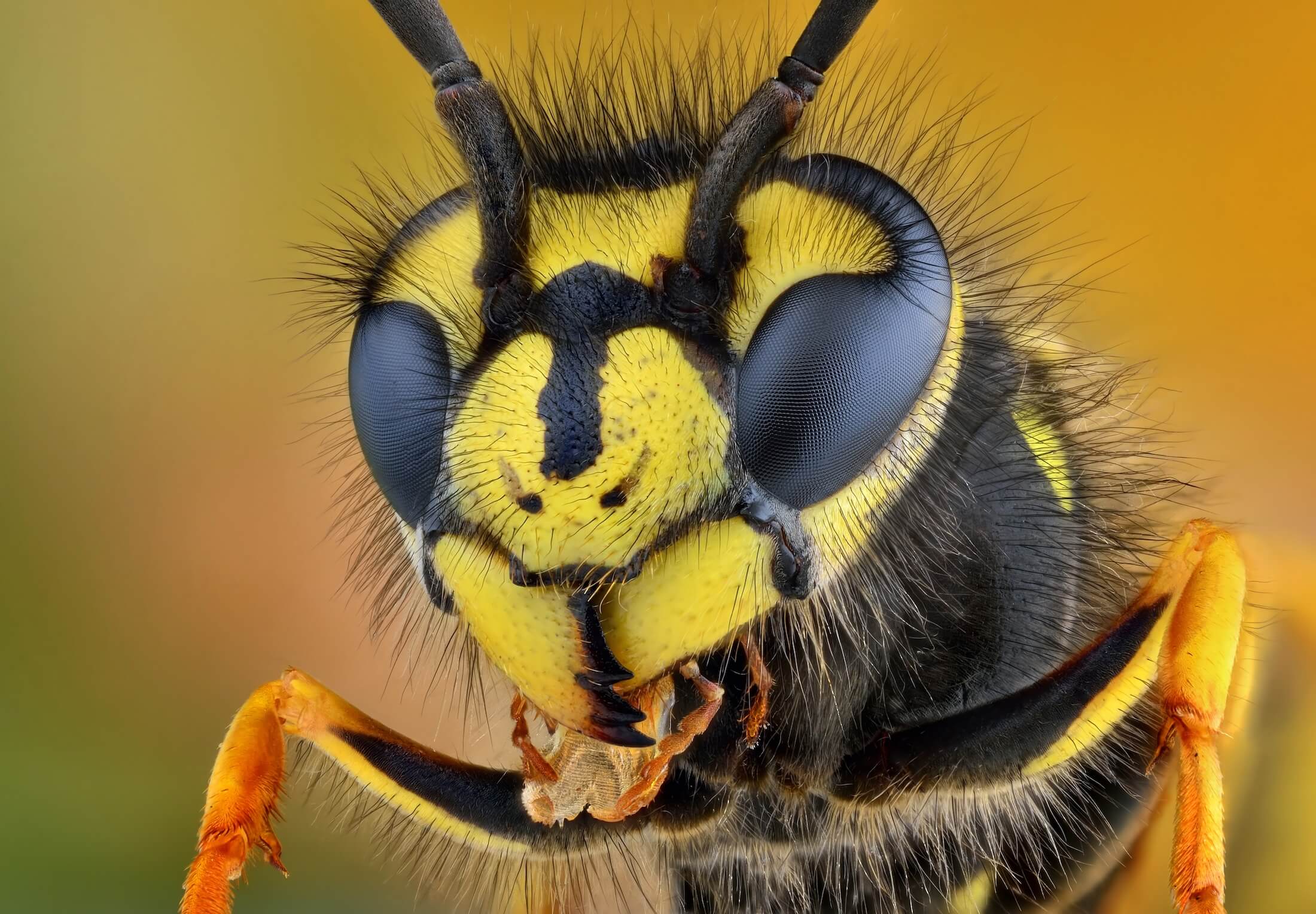 shutterstock_361037942